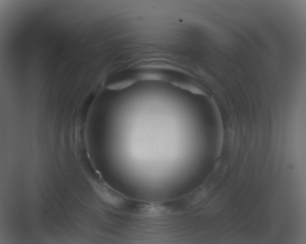 X0000082960379200702081722
