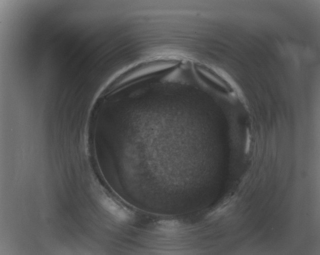 X0000082960391200702081721