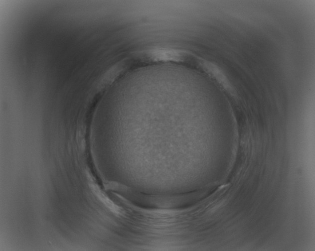 X0000082960402200702081721