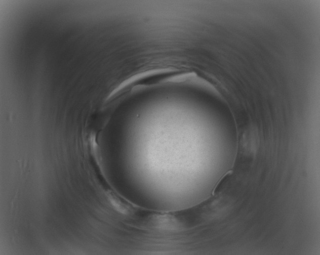 X0000082960424200702081720