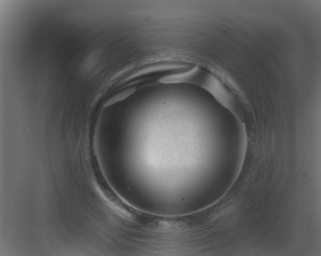 X0000082960442200702081720