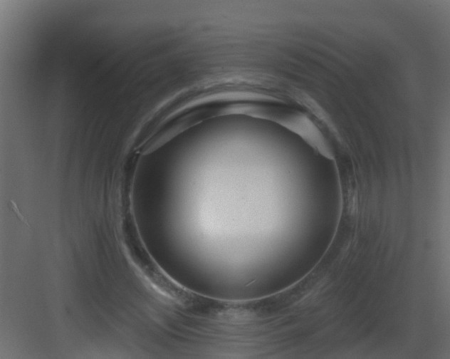 X0000082960444200702081720