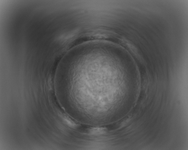 X0000082960465200702081720