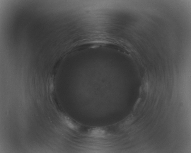 X0000082960471200702081720