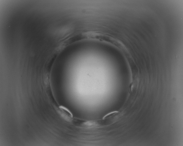 X0000082960477200702081720
