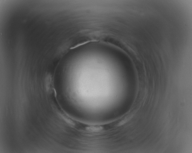 X0000082960480200702081720