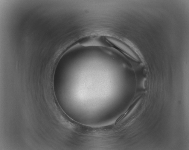 X0000082960481200702081720