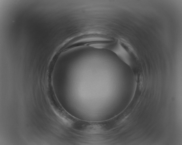 X0000082960492200702081719