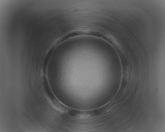 X0000082960500200702081719