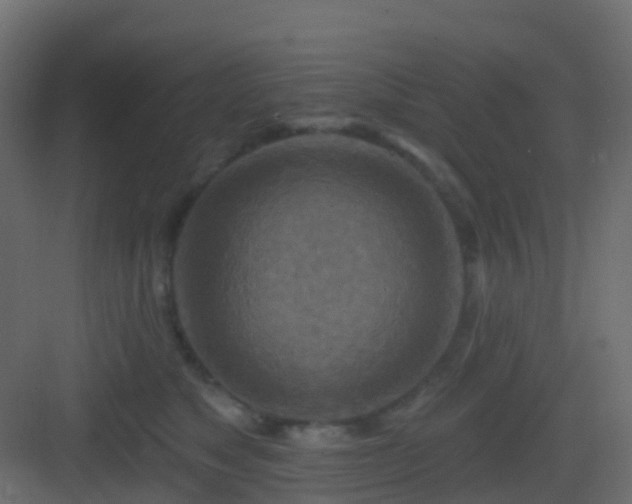 X0000082960517200702081719