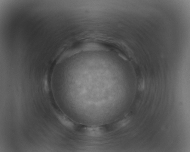 X0000082960524200702081719