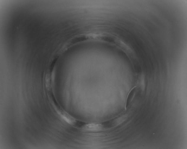 X0000082960526200702081719