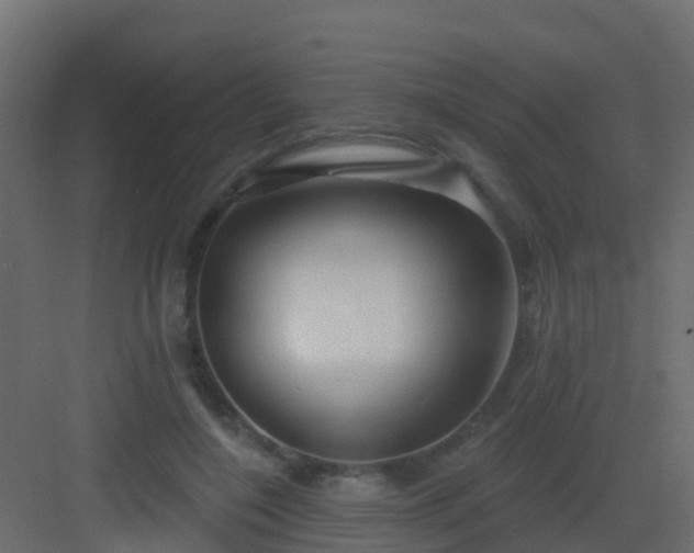 X0000082960548200702081718
