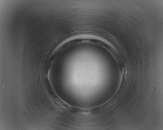 X0000082960552200702081718