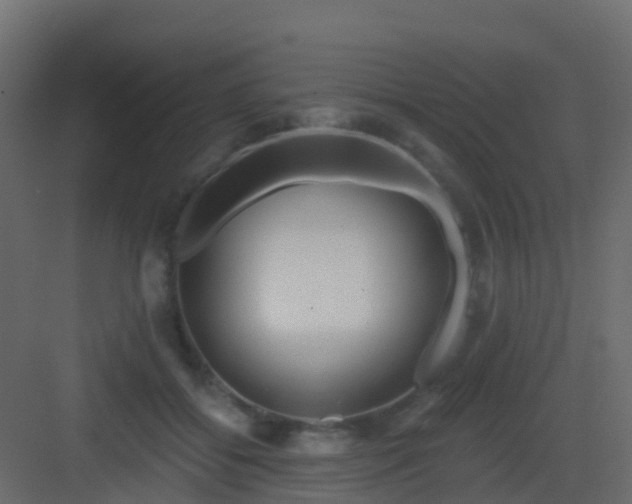 X0000082960556200702081718