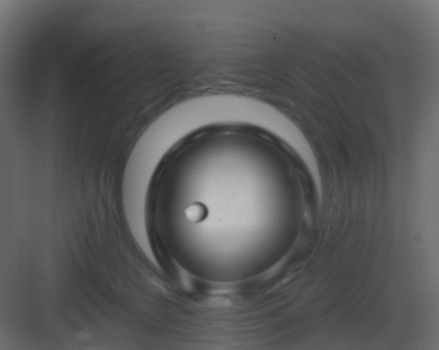 X0000082960566200702081719