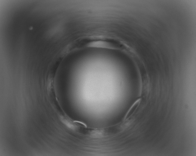 X0000082960574200702081719