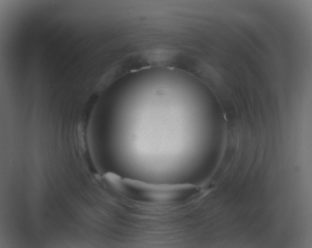 X0000082960575200702081719
