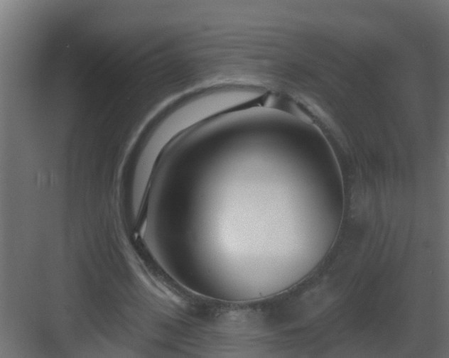 X0000082960584200702081718