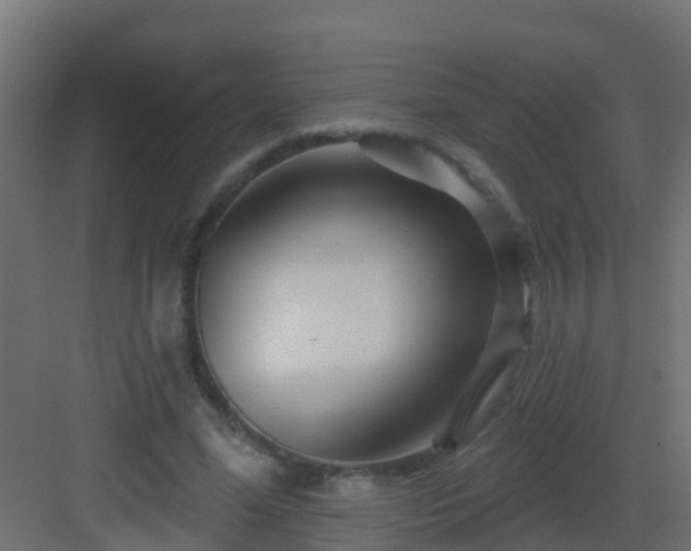 X0000082960588200702081718