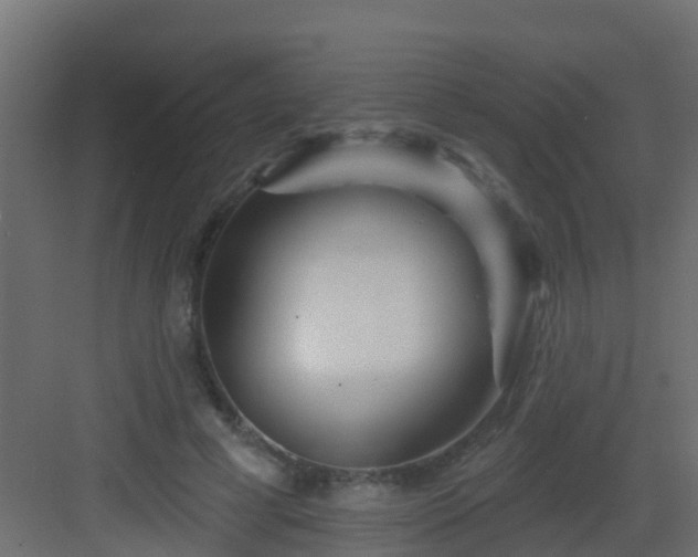X0000082960593200702081718