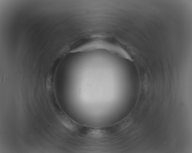 X0000082960611200702081717