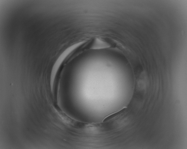X0000082960620200702081717