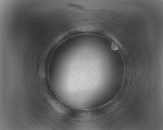 X0000082960631200702081716