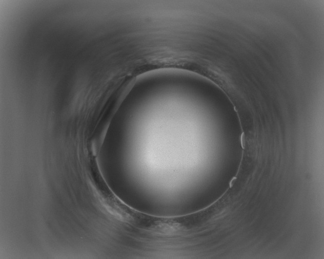 X0000082960642200702081717