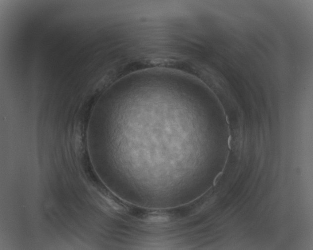 X0000082960653200702081717