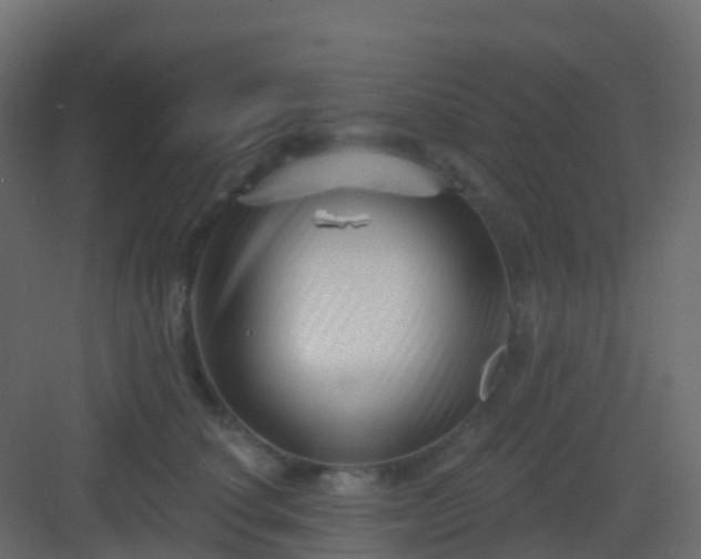 X0000082960660200702081717