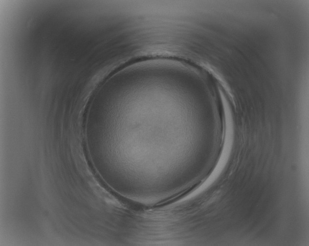X0000082960673200702081716