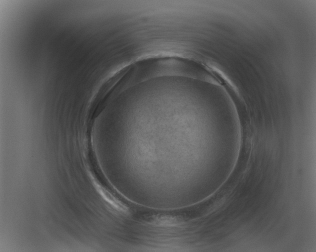 X0000082960677200702081716