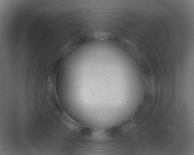 X0000082960705200702081716