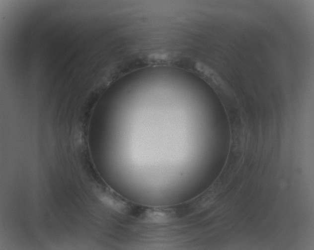 X0000082960706200702081716