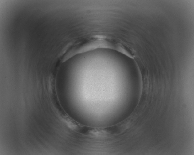 X0000082960712200702081716