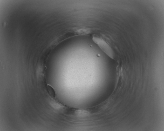 X0000082960714200702081716