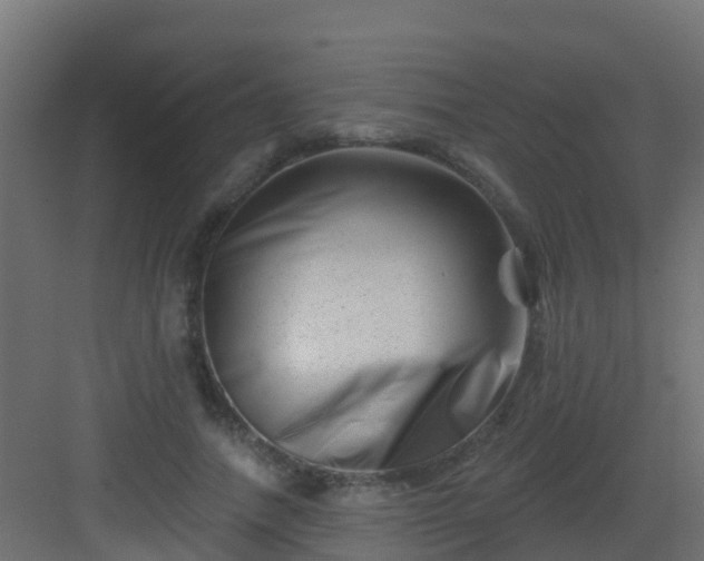 X0000082960738200702081715