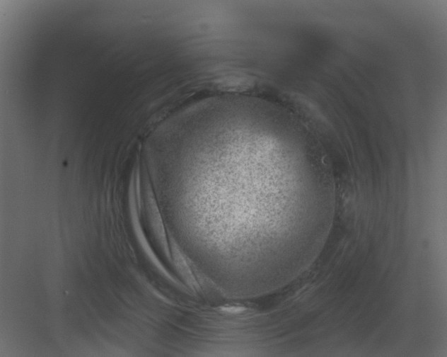 X0000082960745200702081715