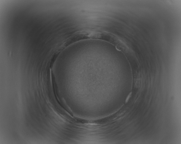 X0000082960748200702081715