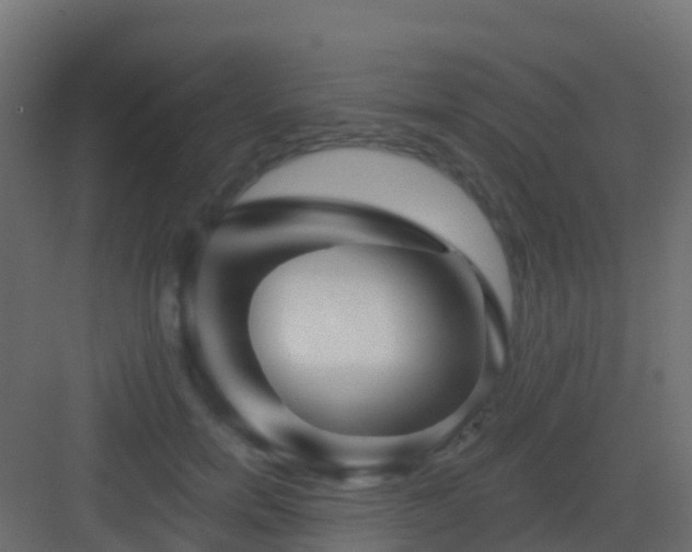 X0000082960750200702081715