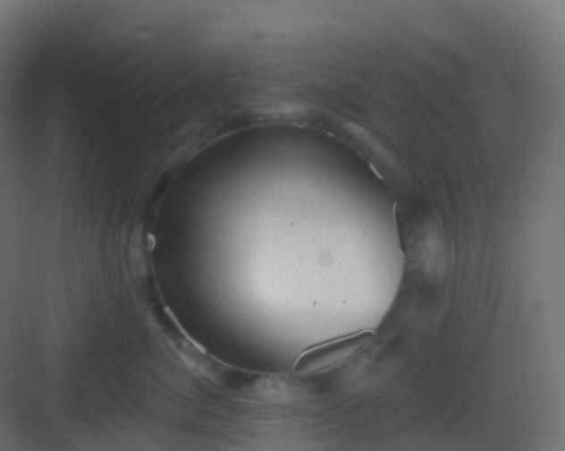 X0000082960764200702081715
