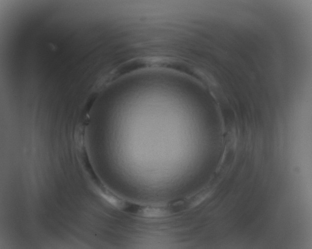 X0000082960766200702081715