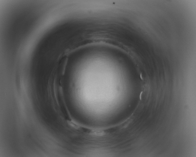 X0000082960767200702081715