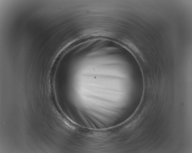 X0000082960782200702081714