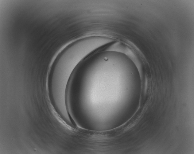 X0000082960788200702081714
