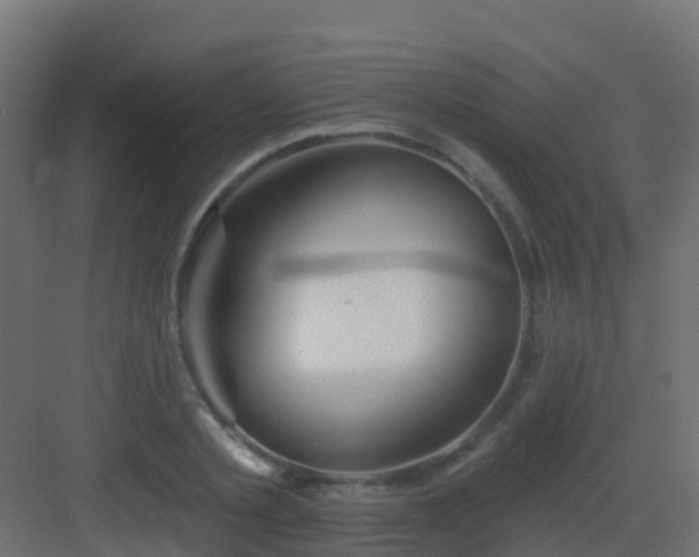 X0000082960789200702081714