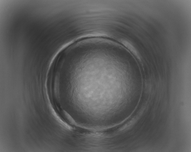 X0000082960797200702081714