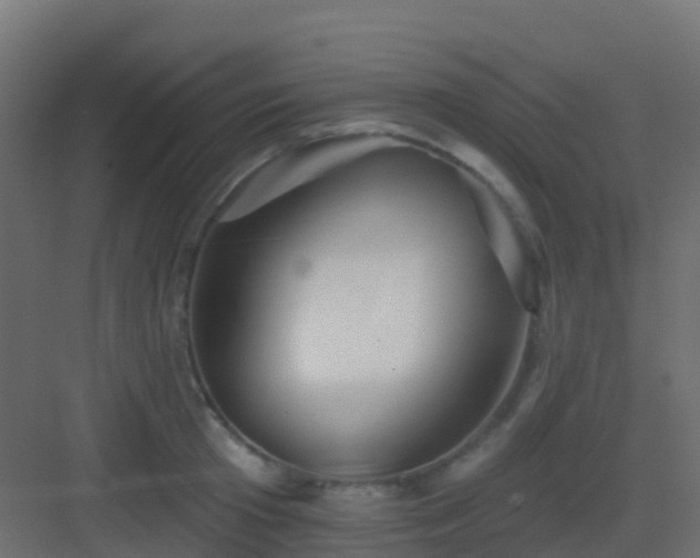 X0000082960801200702081714