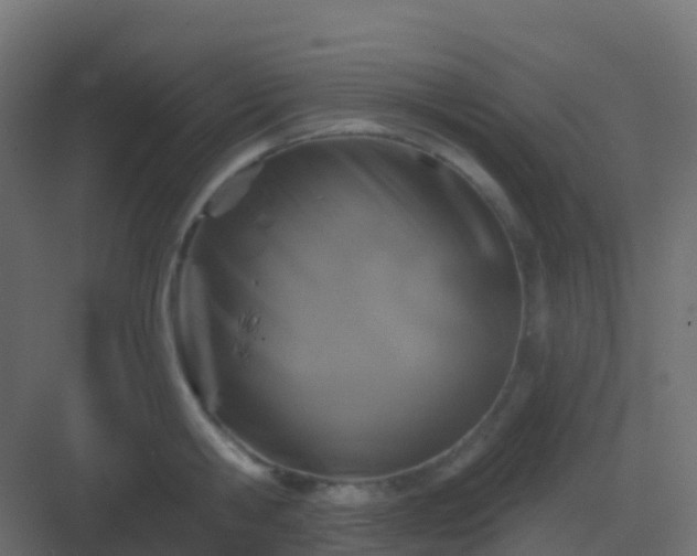 X0000082960806200702081714